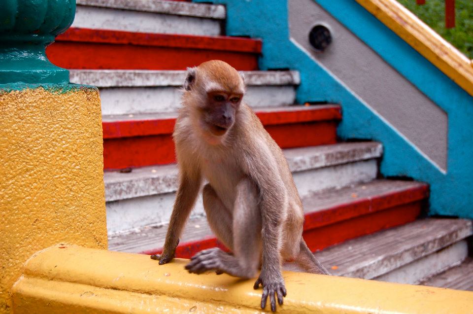 Kuala Lumpur, Man vs.&nbsp;Nature