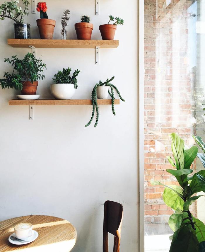 11953374_10206531953691950_250560549156739238_o