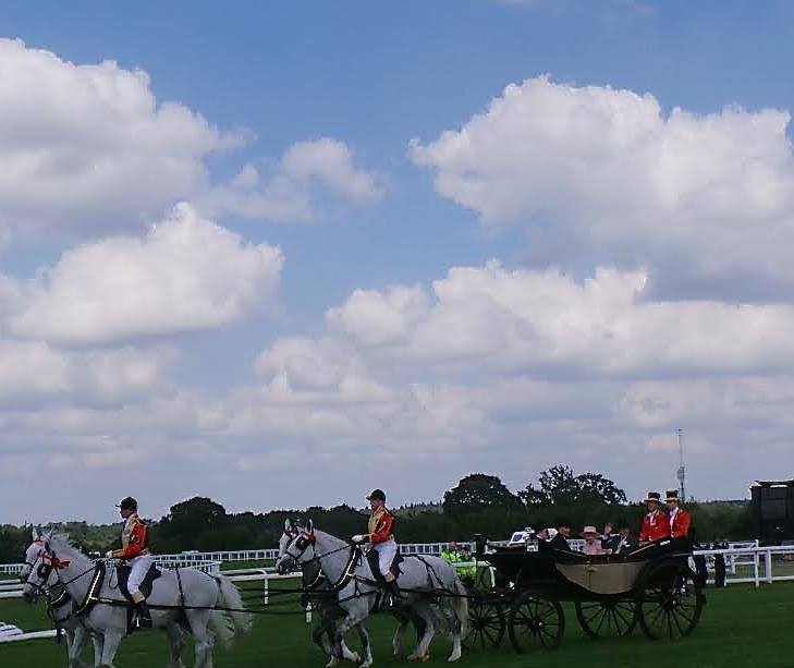 10526090_10203332971039383_7875095503026189458_n