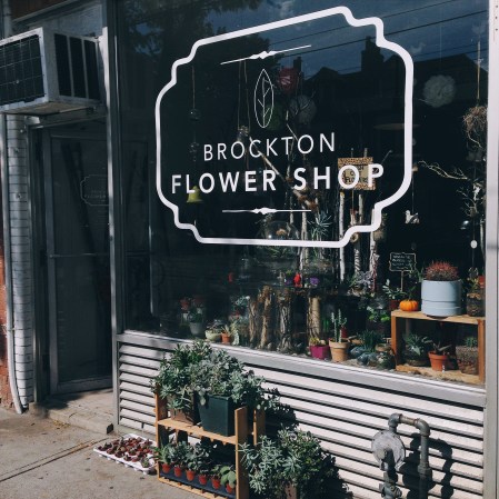 Processed with VSCOcam with e6 preset