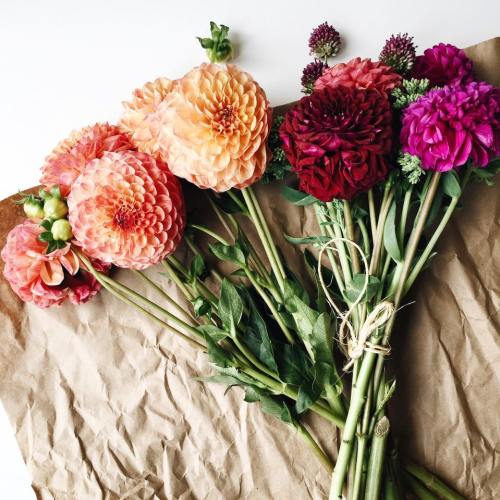 12067969_10206547825328731_1931589905_n