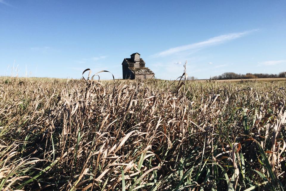 Saskatchewan the Great