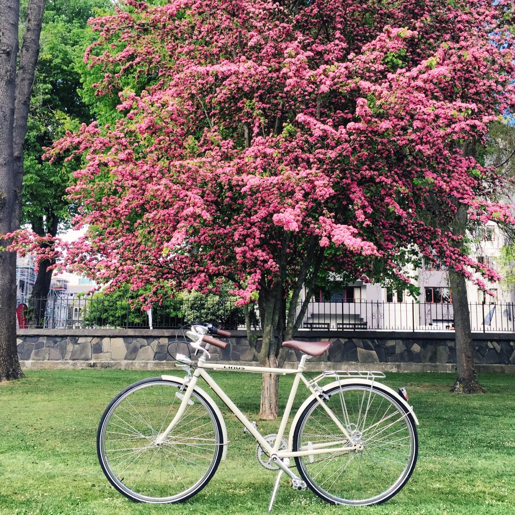 Luna: Bombay Bicycle Club