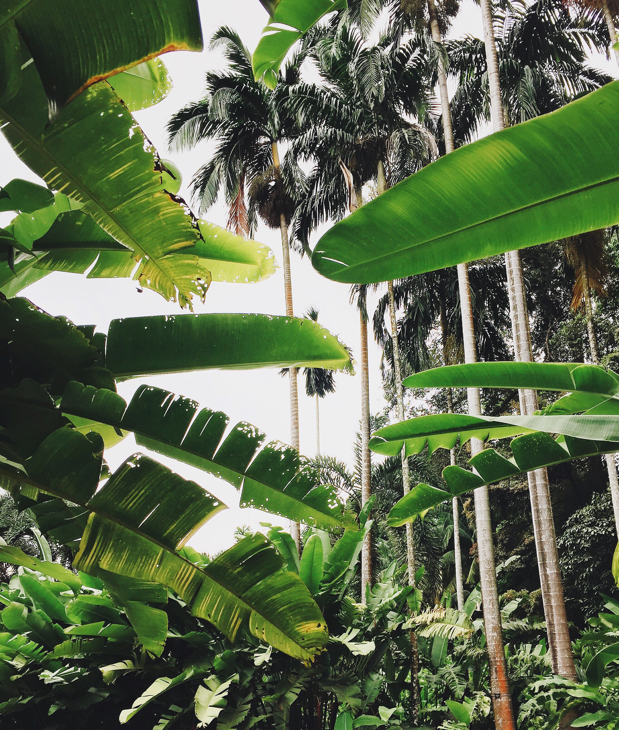 Processed with VSCOcam with a6 preset