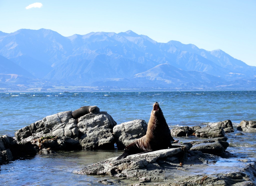 Where To Holiday In New&nbsp;Zealand