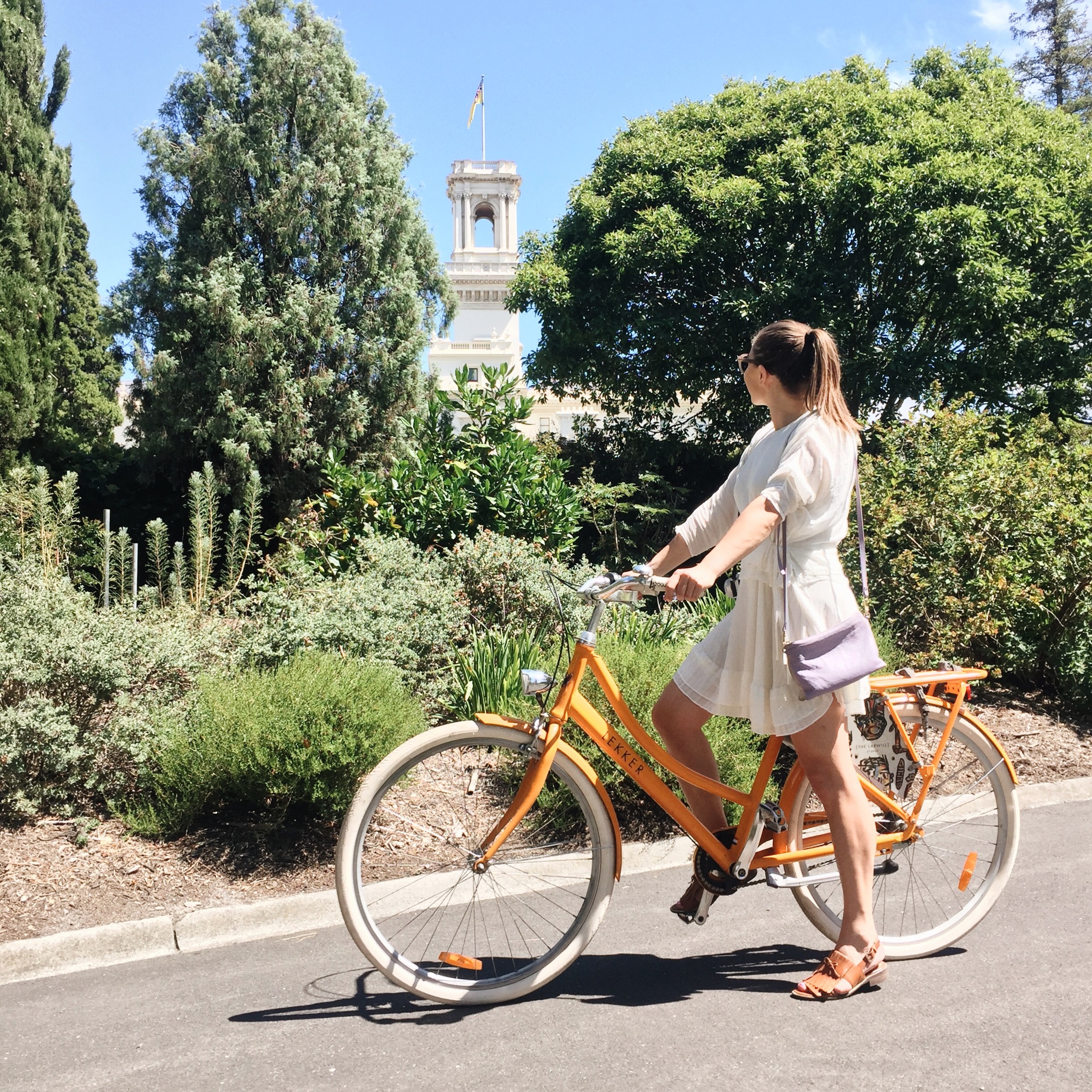 Processed with VSCO with a6 preset