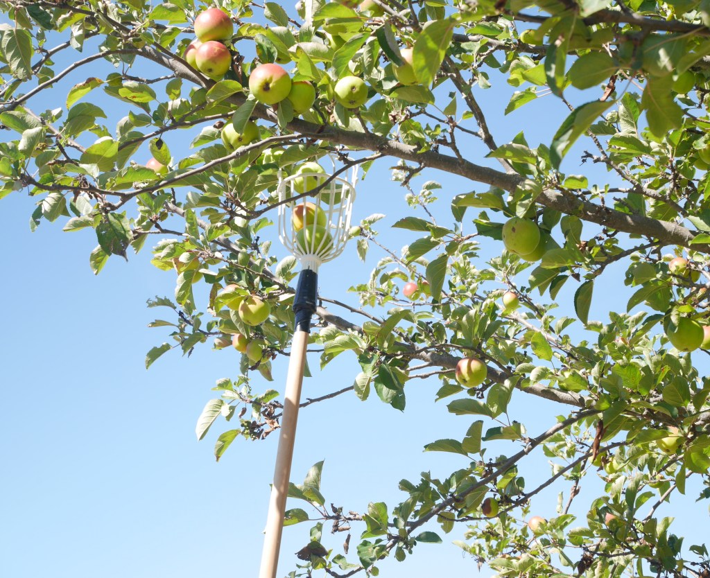 What’s On In Waipara: The Food&nbsp;Farm