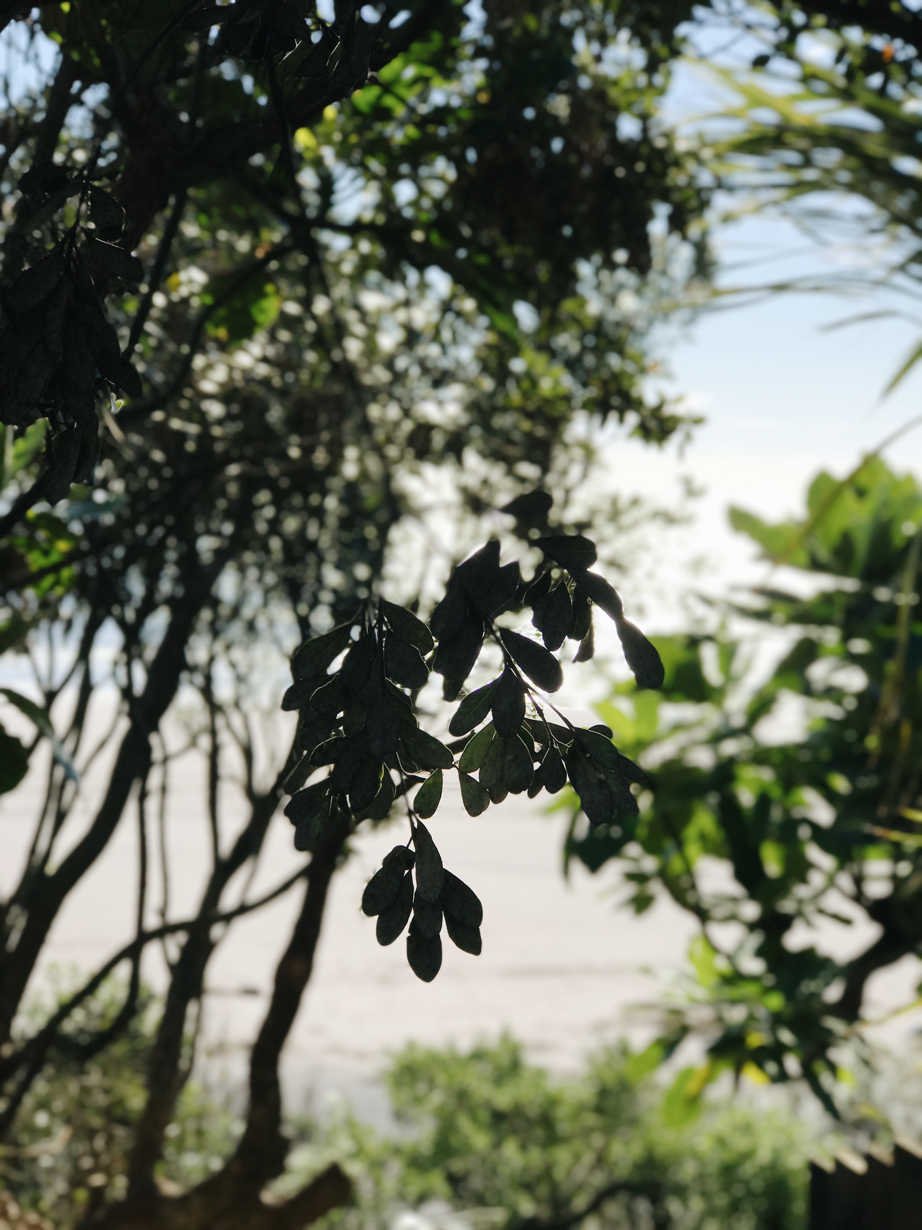 Processed with VSCO with a6 preset