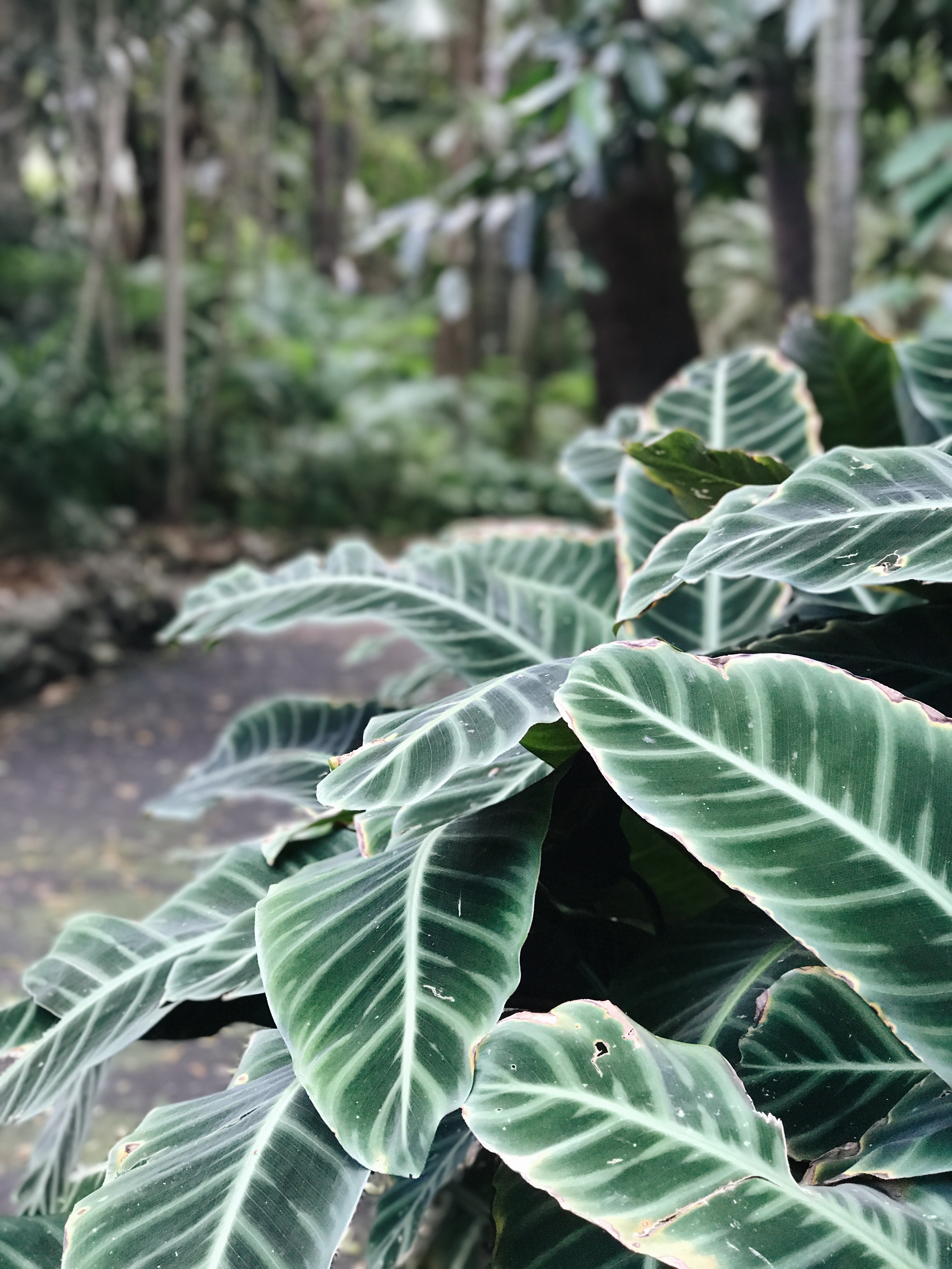 Processed with VSCO with a6 preset