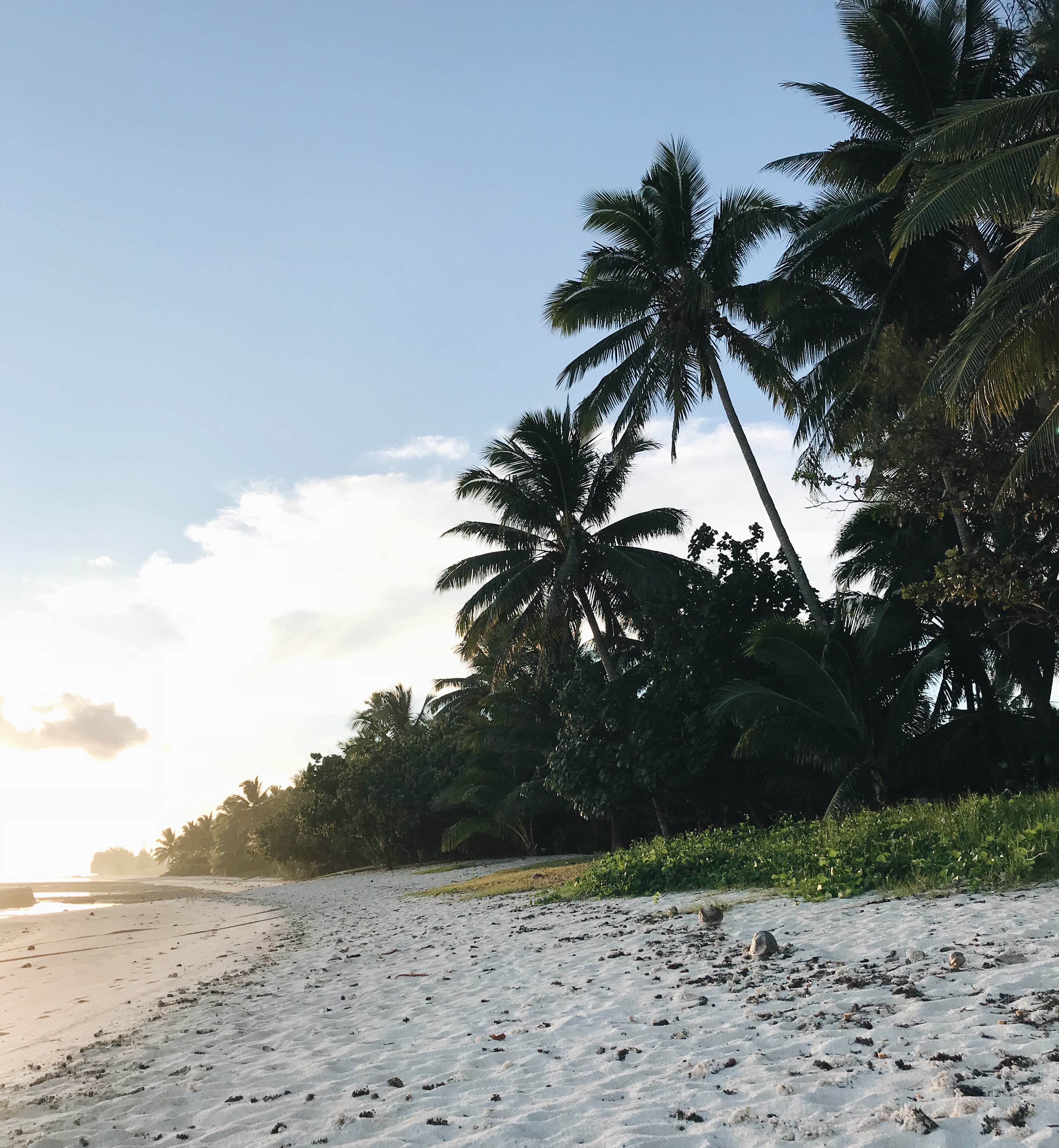 Processed with VSCO with a6 preset