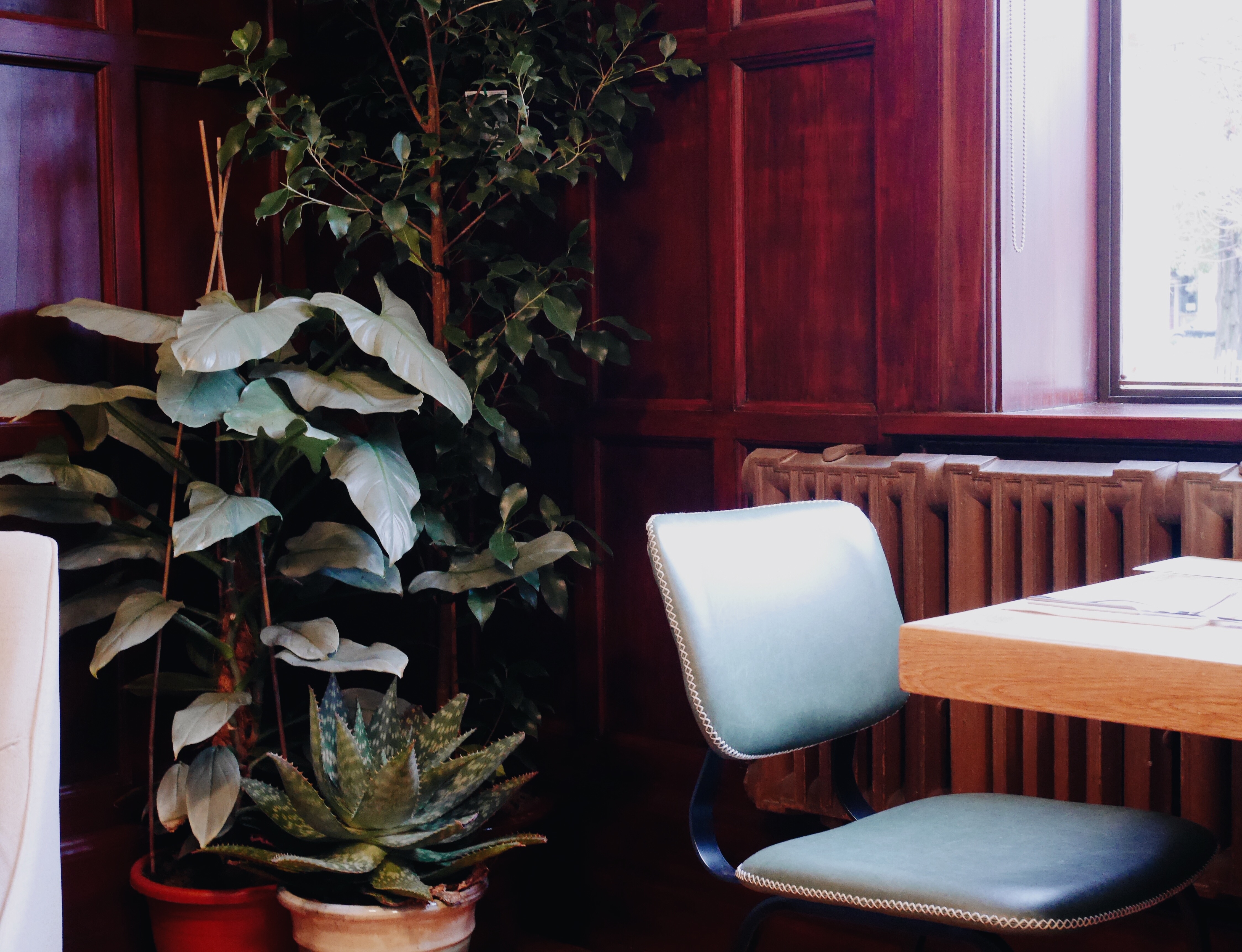 Processed with VSCO with a6 preset