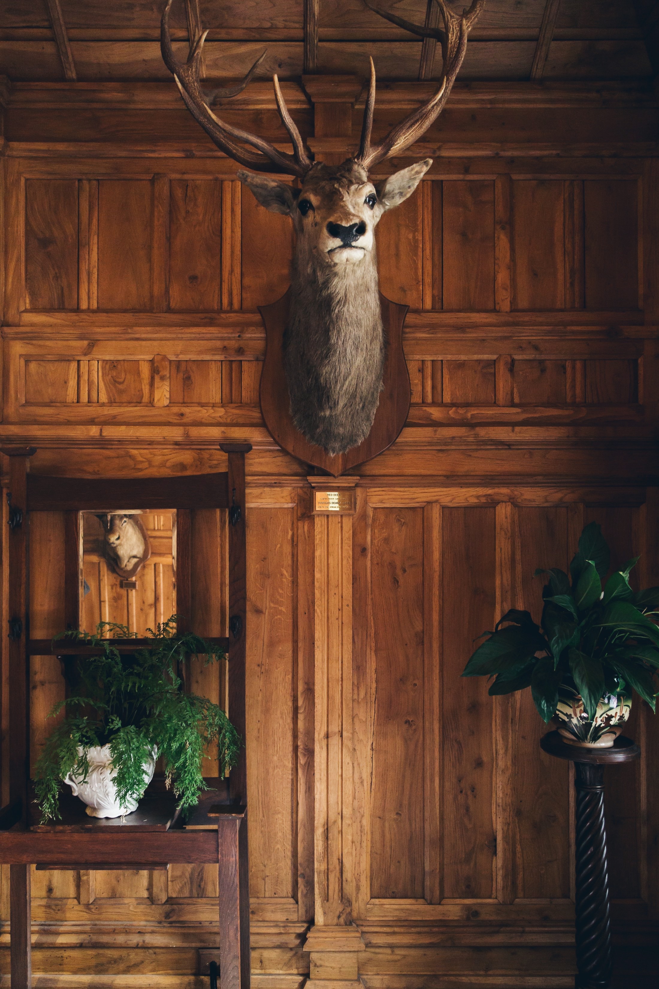 Processed with VSCO with hb1 preset