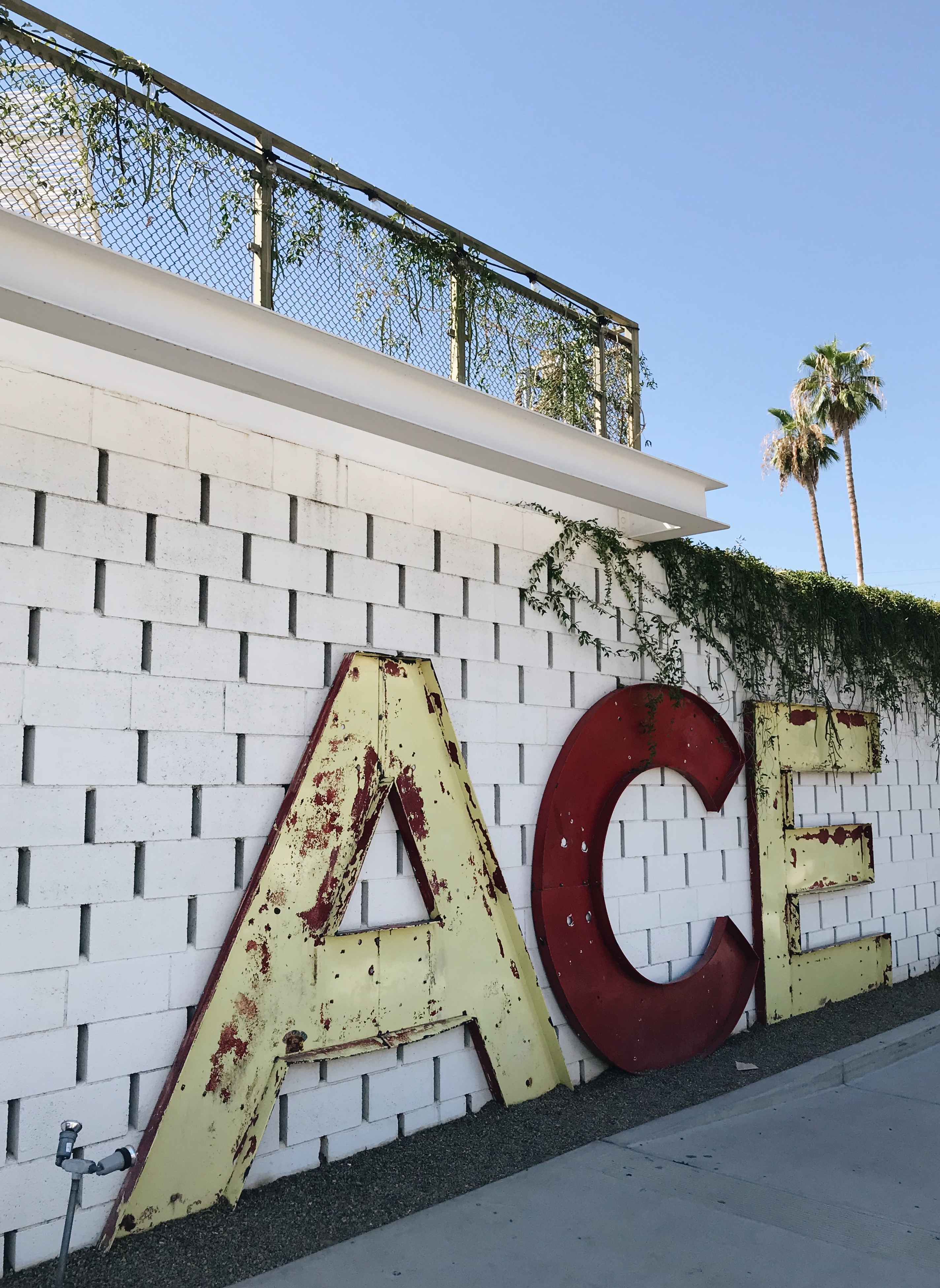 Processed with VSCO with a6 preset