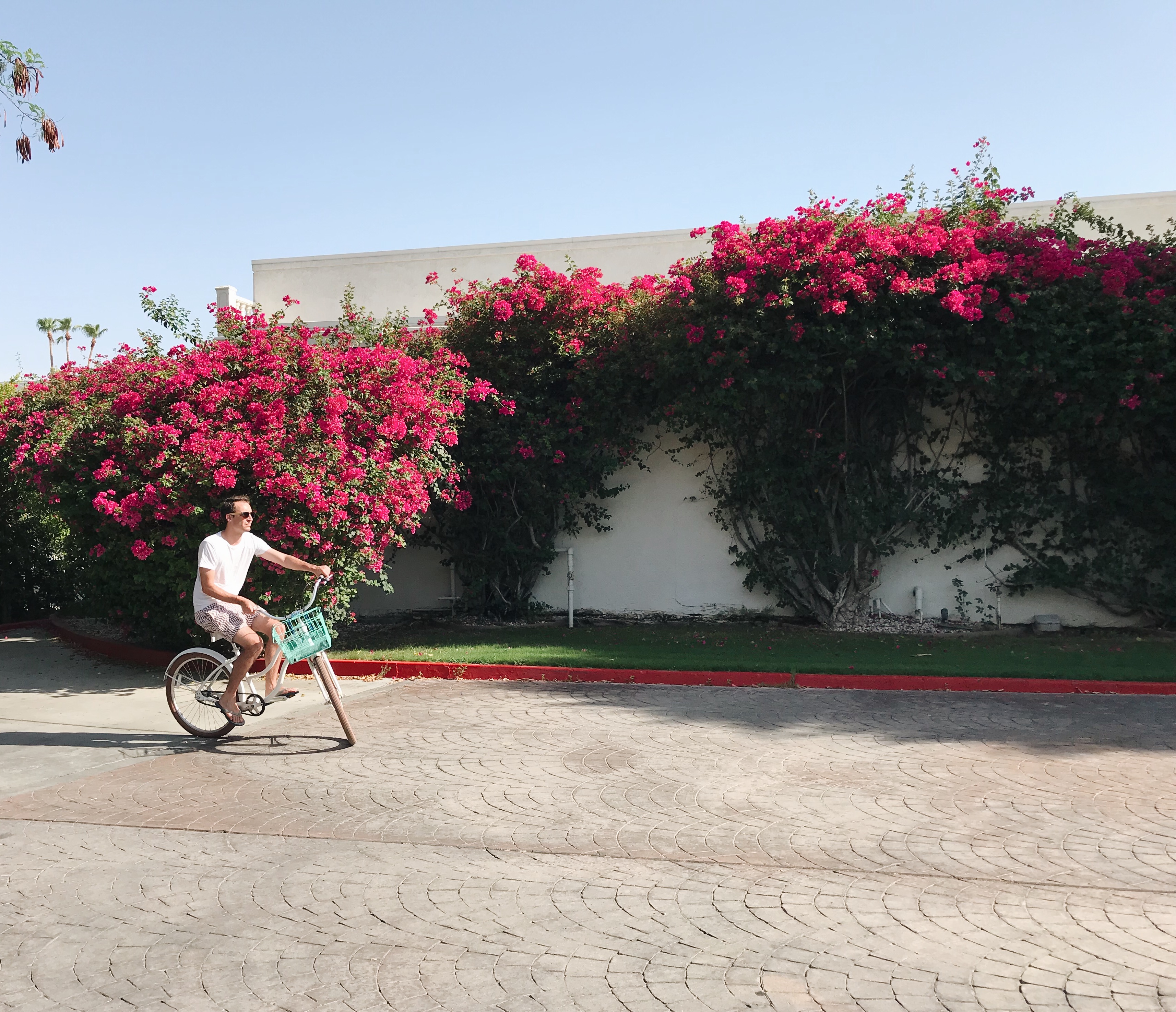 Processed with VSCO with a6 preset