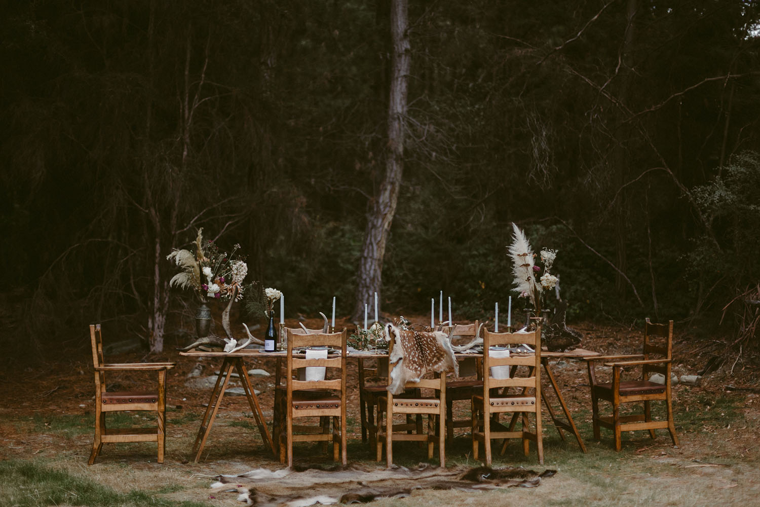 wild_dawn_thomson_photography-29