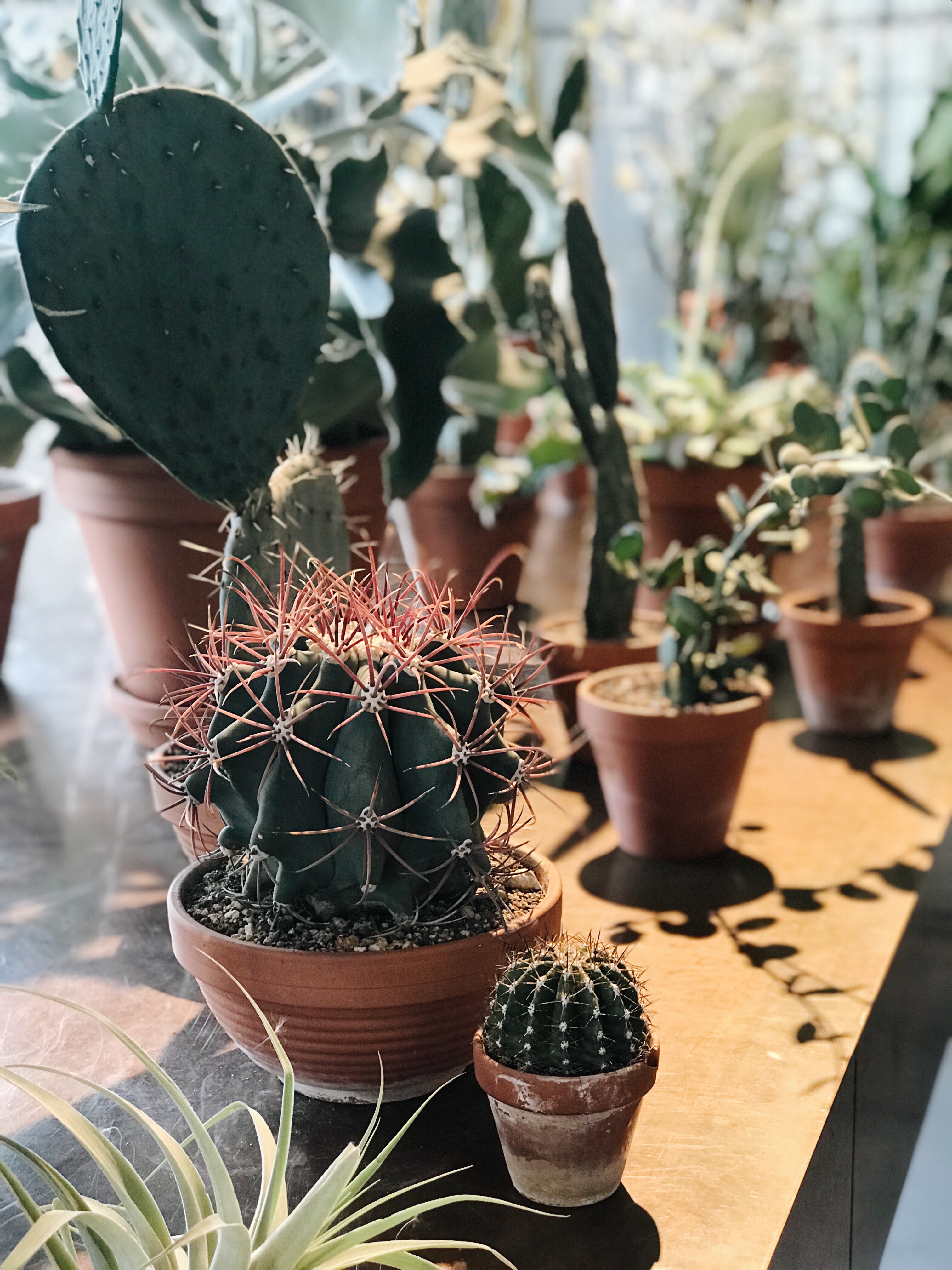 Processed with VSCO with a6 preset