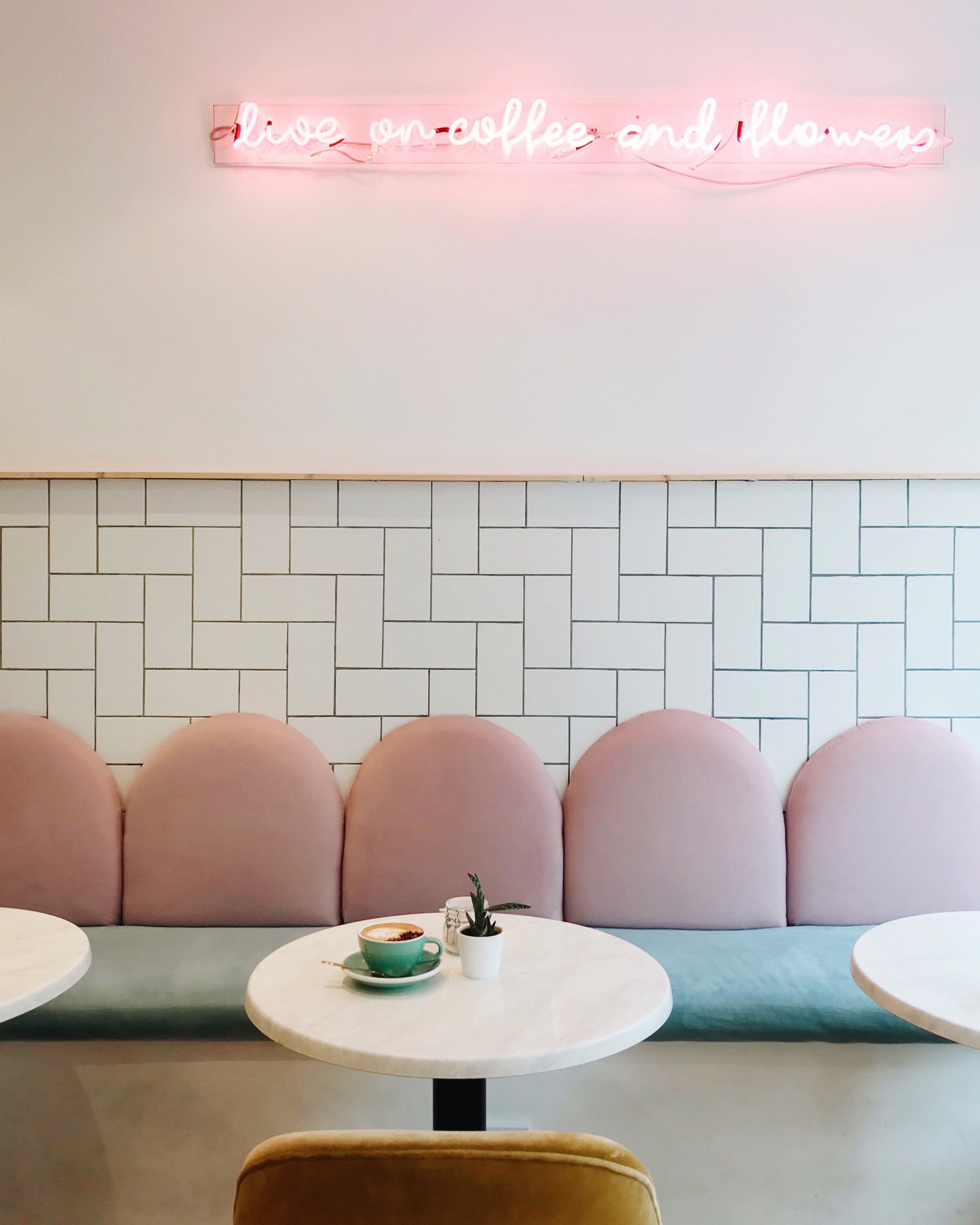 Processed with VSCO with a6 preset