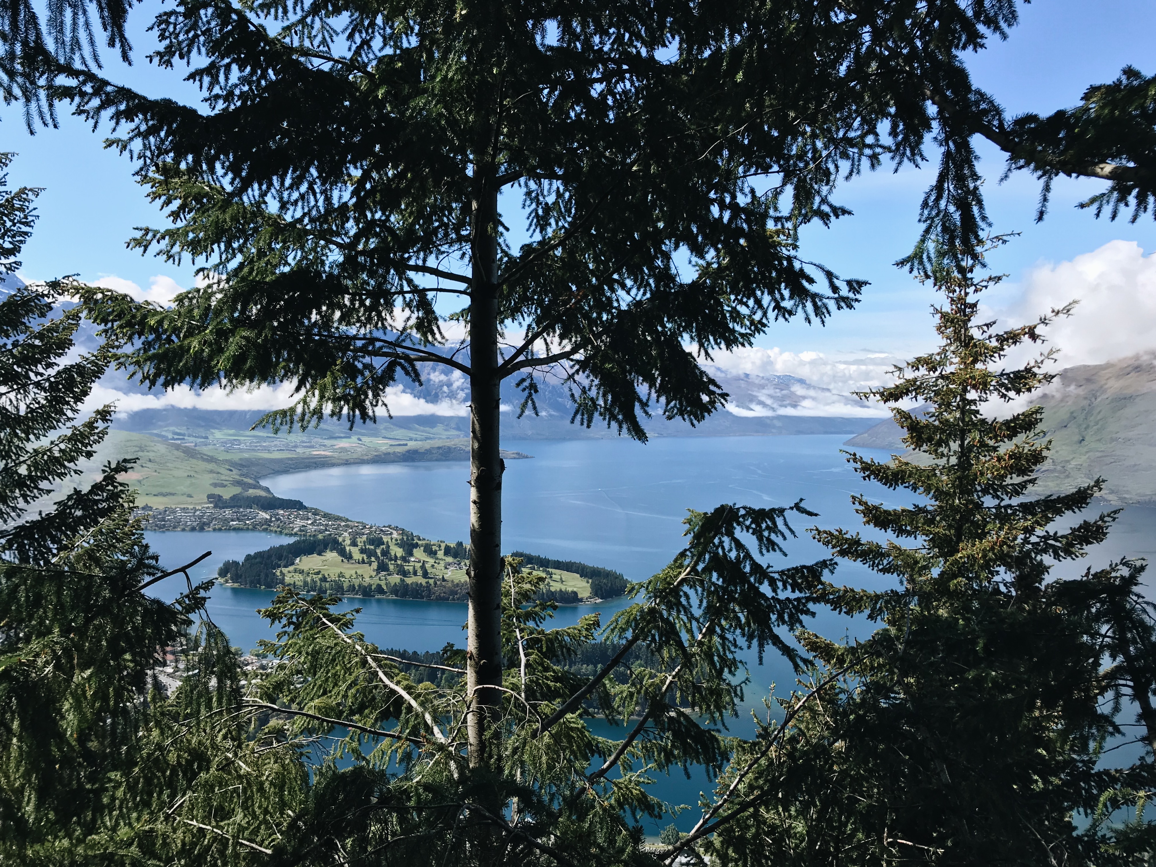 Processed with VSCO with a6 preset