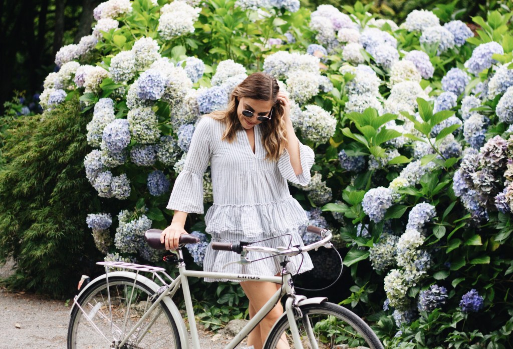 Christchurch City Guide — 2019&nbsp;Edition