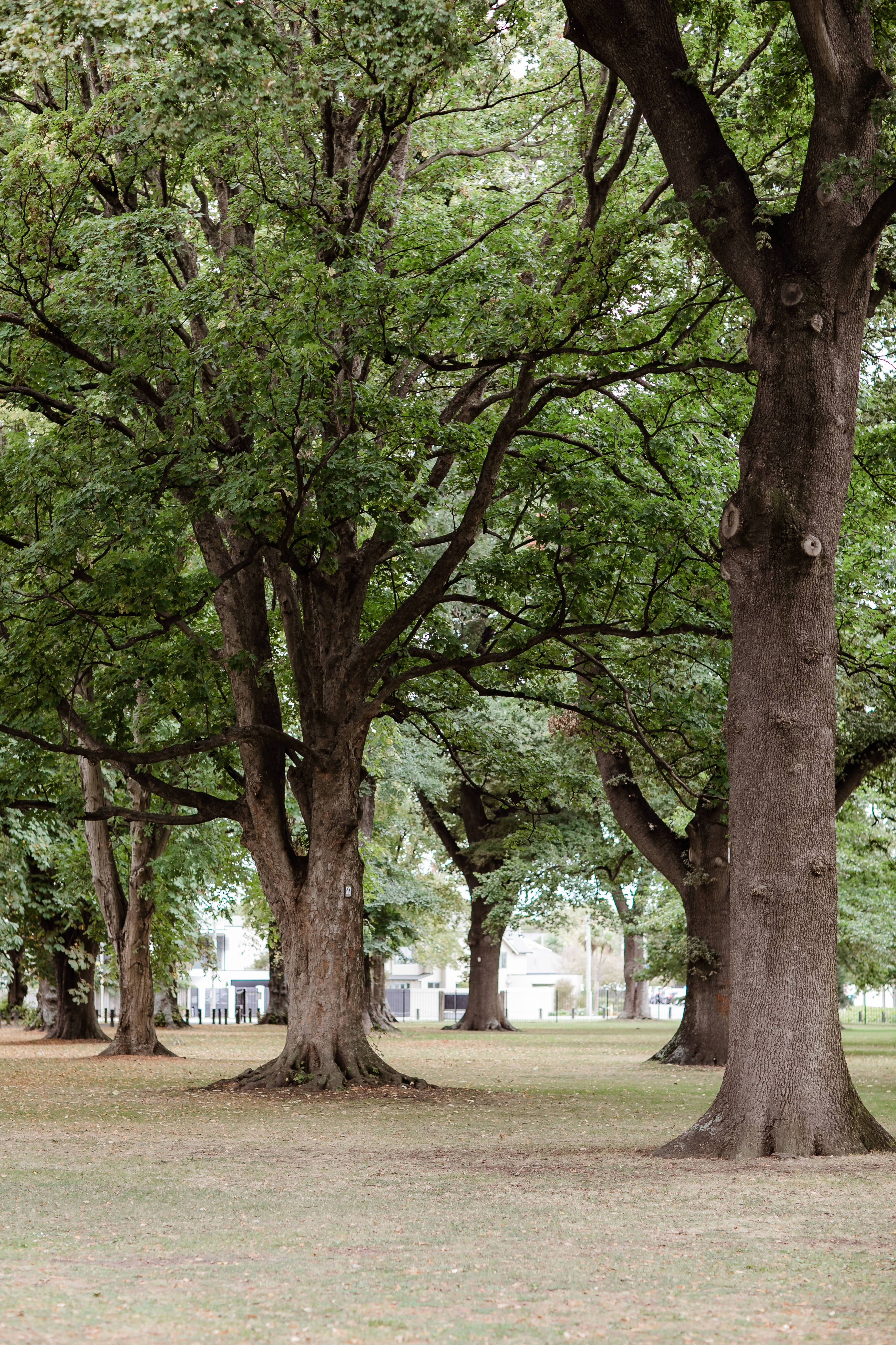 Vanessa and Nick - Ana Galloway Photography-46