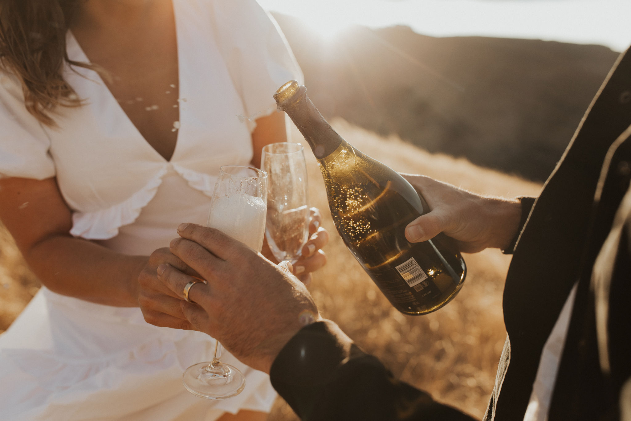 lowresvanessanick-186