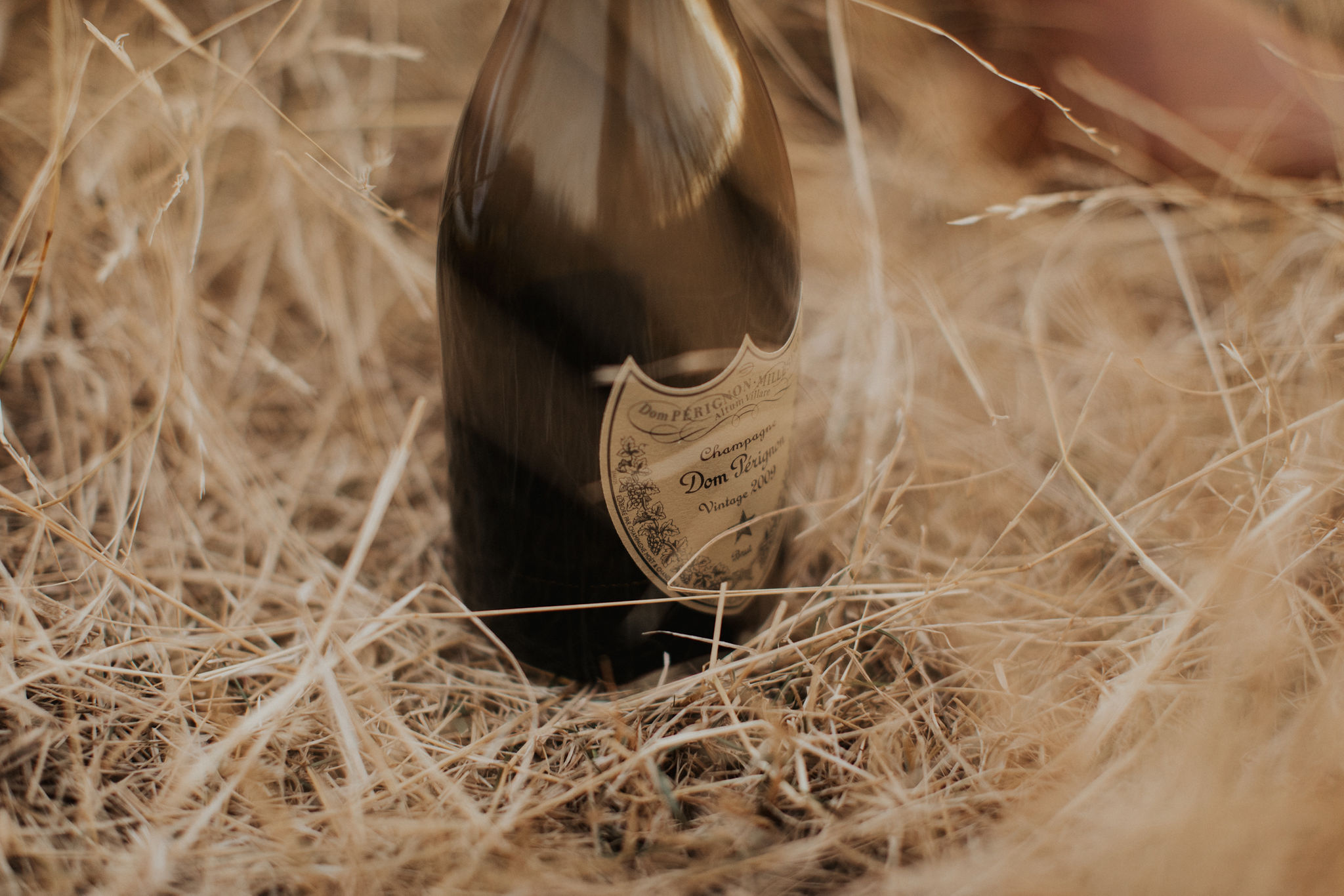 lowresvanessanick-262