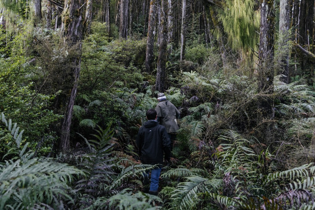 West Coast Adventures with Reefton Distilling&nbsp;Co.