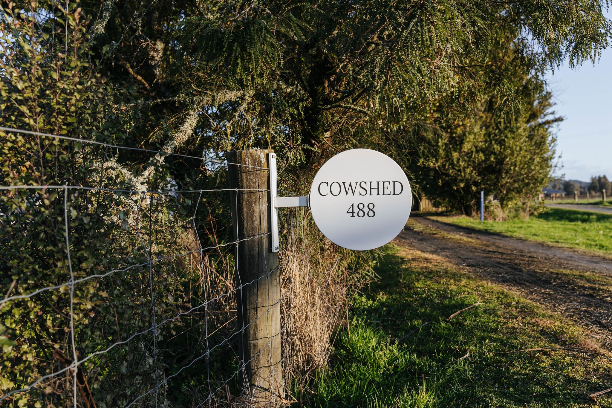 115824157_1388806907995512_2793743183425530424_n