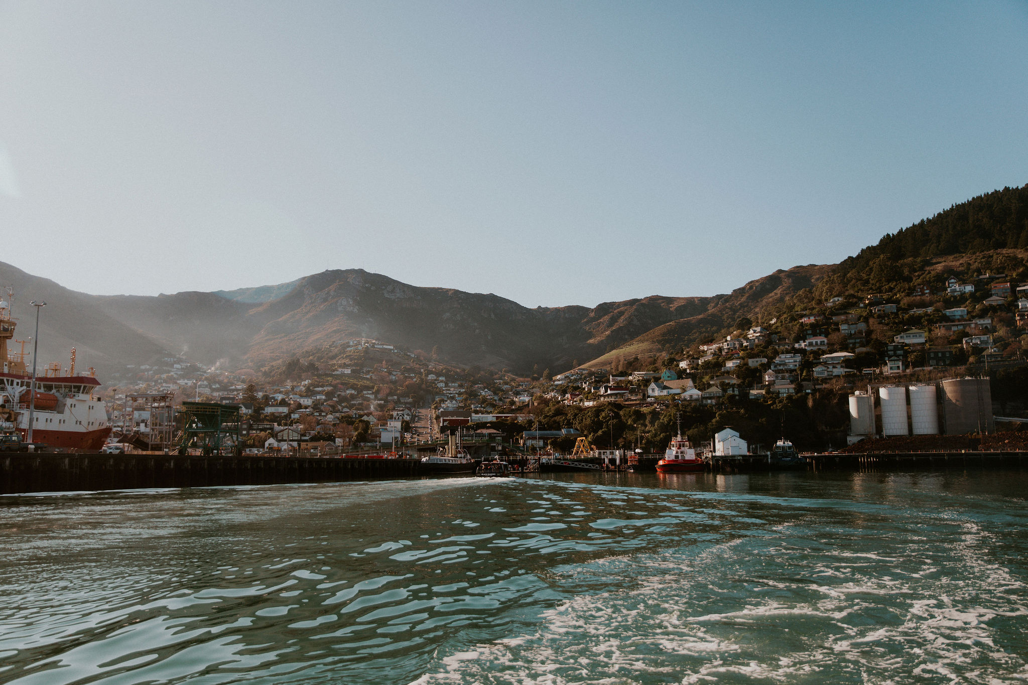 HannahBirdPhoto-Nick's30th-26