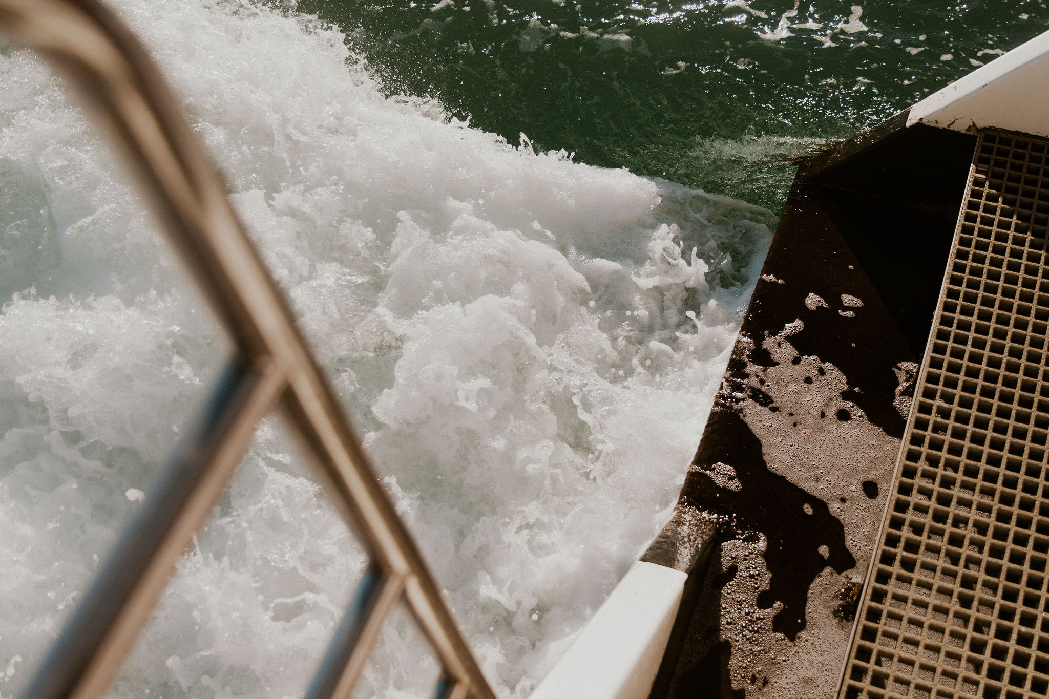 HannahBirdPhoto-Nick's30th-36