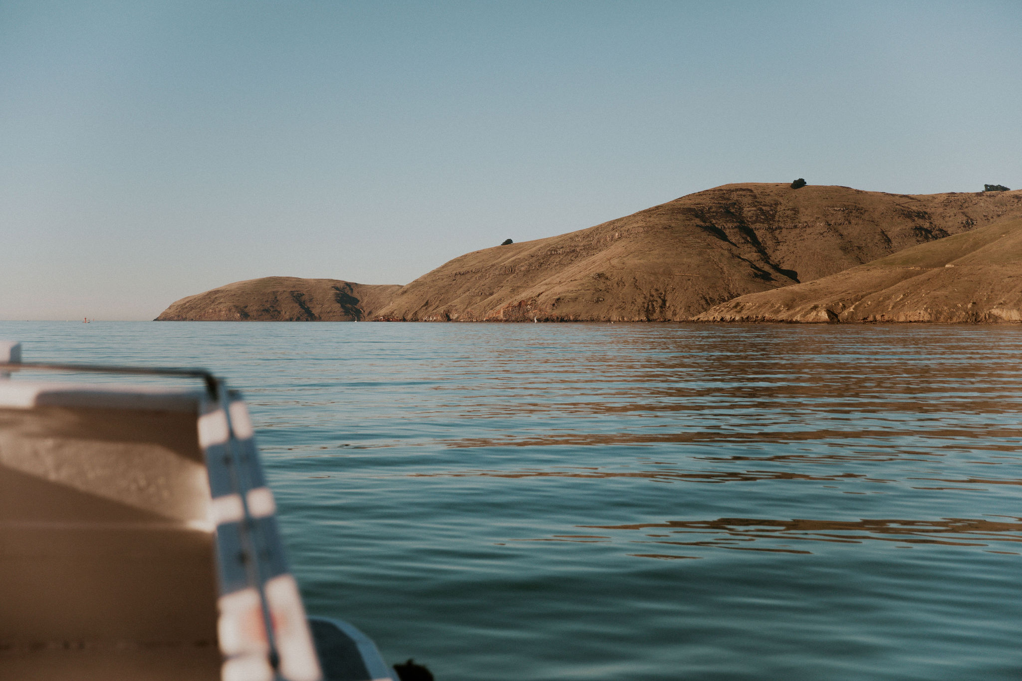 HannahBirdPhoto-Nick's30th-39