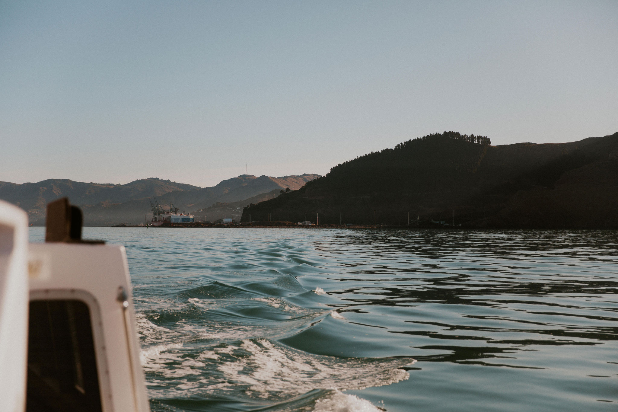 HannahBirdPhoto-Nick's30th-46