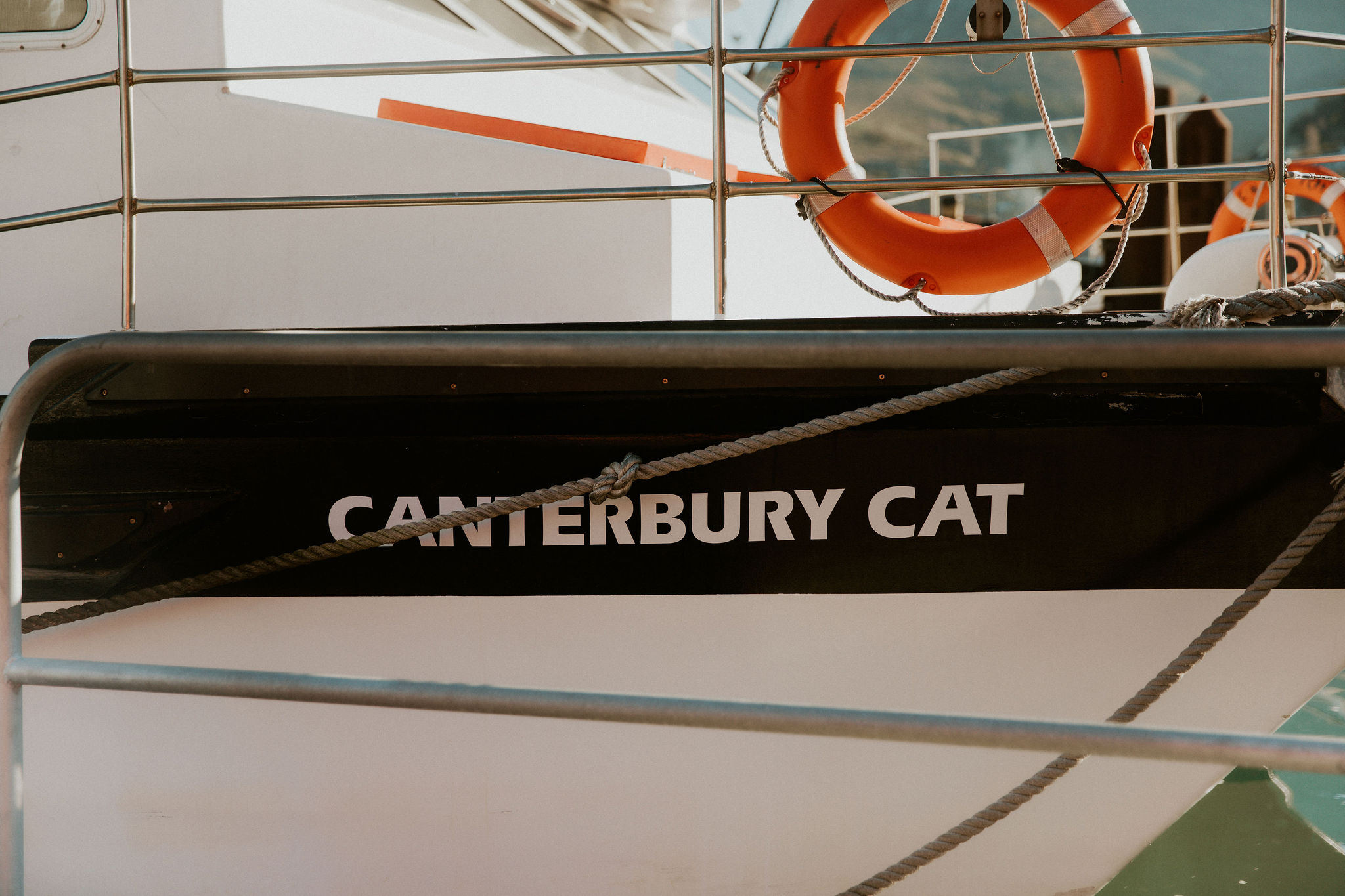 HannahBirdPhoto-Nick's30th-6