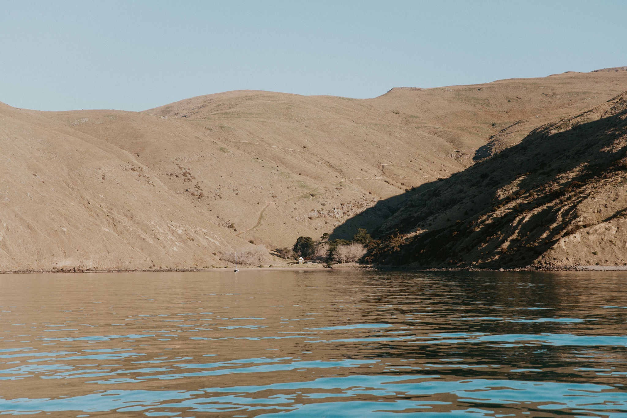 HannahBirdPhoto-Nick's30th-63