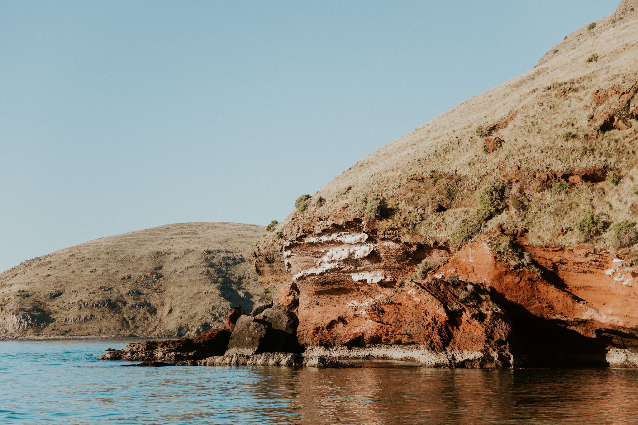 HannahBirdPhoto-Nick's30th-69