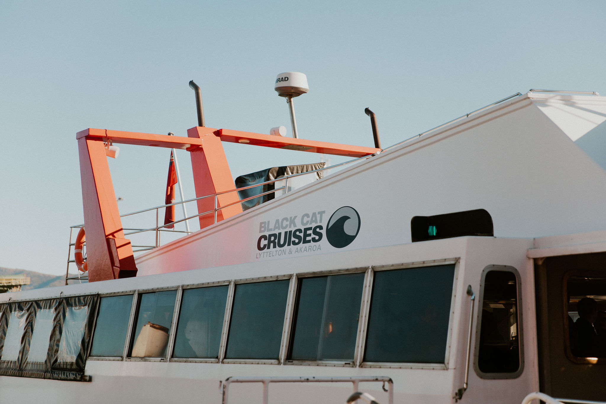 HannahBirdPhoto-Nick's30th-7