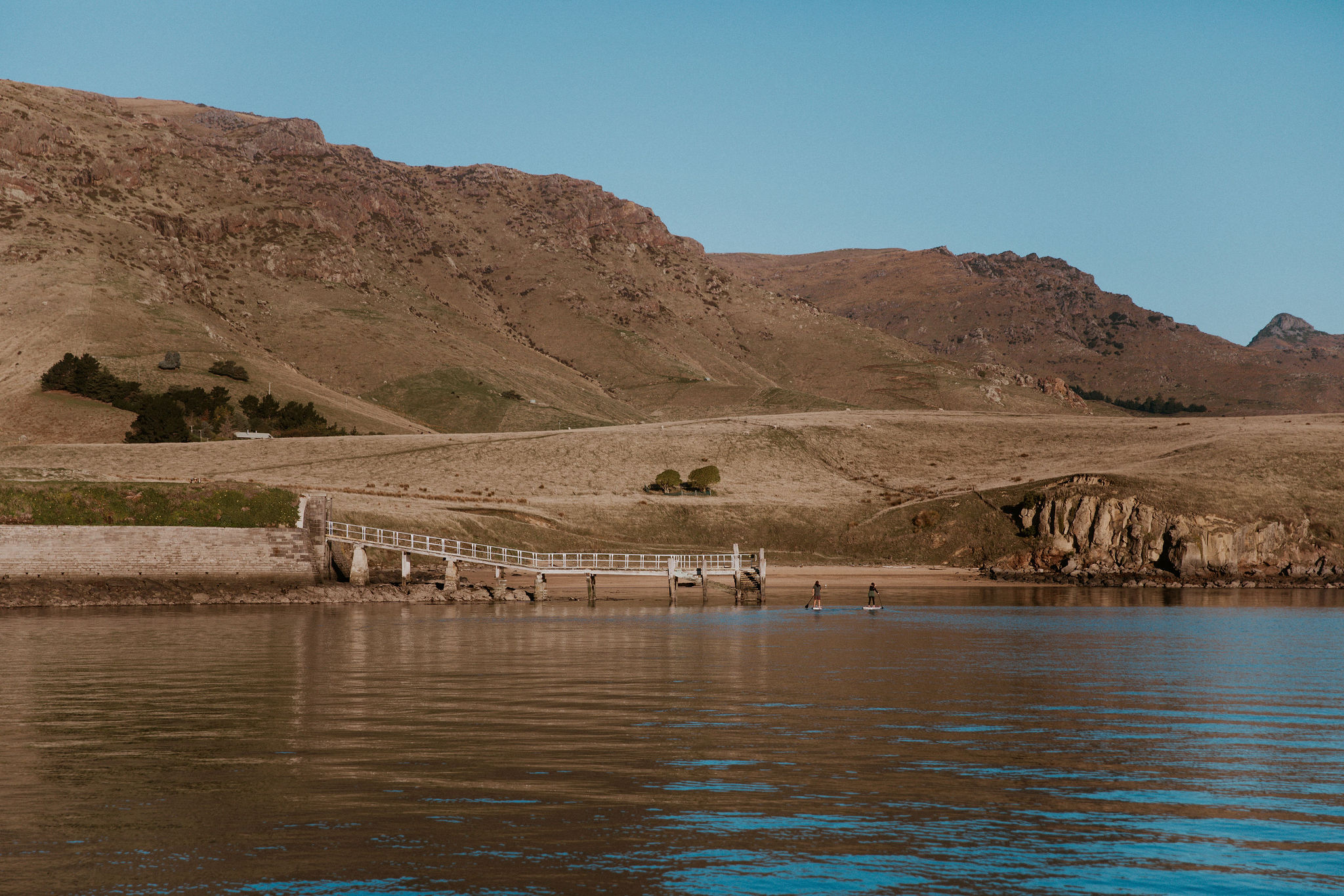 HannahBirdPhoto-Nick's30th-88